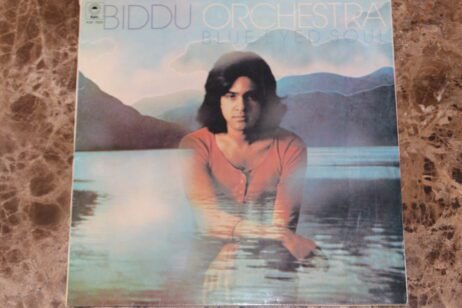 Biddu Orchestra - Blue-Eyed Soul (G+/VG)