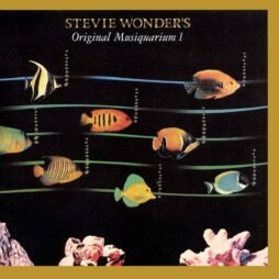 Stevie Wonder - The Original Musiquarium I (2LP)