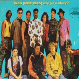 Was (Not Was) - Are You Okay? (VG)