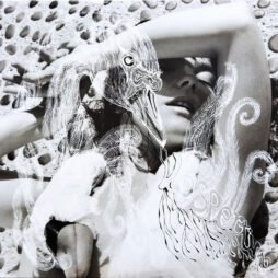 Bjork - Vespertine (2LP)