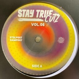 The image shows a vinyl record picture disc for "Stay True Cutz Vol. 06." The label features a gradient background with a vibrant mix of colors, primarily yellow, red, and purple, with a subtle dotted pattern adding texture to the design.