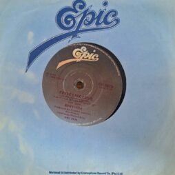 Survivor - Burning Heart (VG/Gen) (7")