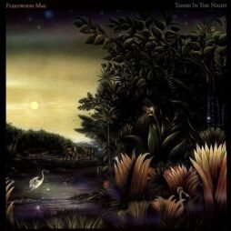 Fleetwood Mac - Tango In The Night