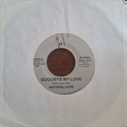 Natural Love - Dick Strikes Back / Goodbye My Love (VG/Gen) (7")