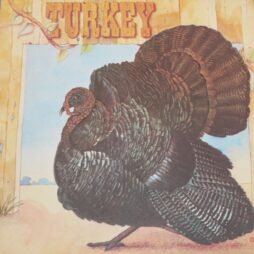 Wild Turkey - Turkey (VG+/VG)