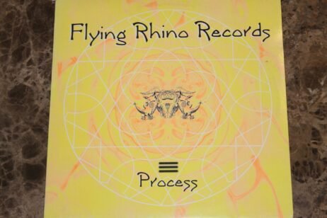 Process - Internal Horizon / Funktion Junktion (VG+)