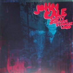 John Cale - Shifty Adventures In Nookie Wood (2LP)
