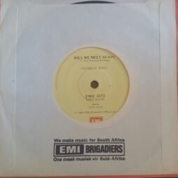 Patricia Paay - Who Let The Heartache In / Will We Meet Again (VG+/Gen) (7")