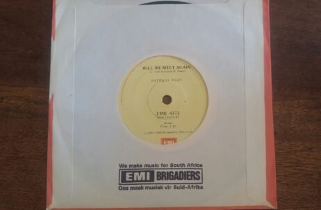 Patricia Paay - Who Let The Heartache In / Will We Meet Again (VG+/Gen) (7")