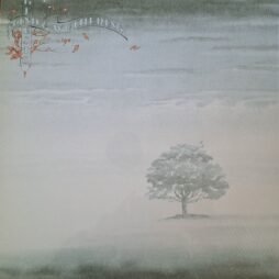 Genesis - Wind & Wuthering (VG+)