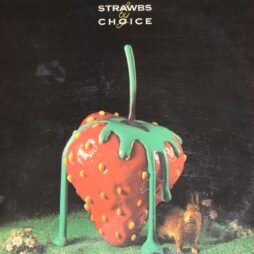 Strawbs - Strawbs By Choice (VG)