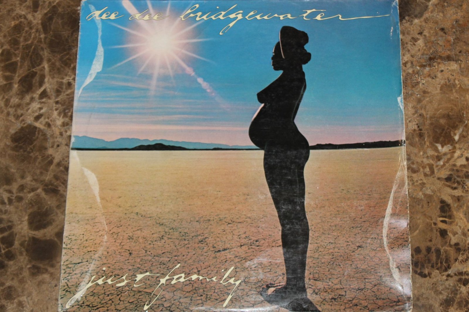 Dee Dee Bridgewater - Just Family (G+)