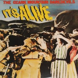 The Ozark Mountain Daredevils - It's Alive (VG+) (2LP)