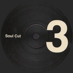 Late Nite Tuff Guy - Soul Cut #3 (12")