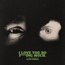 The album cover features two eyes staring out from a dark, almost black background. The left eye is more shadowed, while the right eye is more illuminated, giving a haunting, intense feel. Below the eyes, in large, bold green text, the phrase "I LOVE YOU SO F***ING MUCH." is displayed prominently. Beneath that, in smaller text, it mentions, "THE FOURTH STUDIO ALBUM BY GLASS ANIMALS."