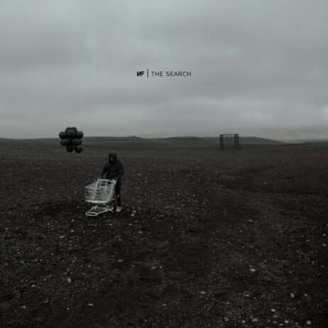 NF - The Search (2LP)