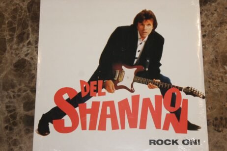 The image is the album cover for "Rock On!" by Del Shannon. The cover features a photograph of Del Shannon in a dynamic pose, holding a guitar with both hands as he leans forward, looking directly at the camera. He is dressed in a black jacket over a white shirt. The artist's name, "Del Shannon," is prominently displayed in bold, red letters. The album title "ROCK ON!" appears in smaller, black text at the bottom right. The background is plain white.