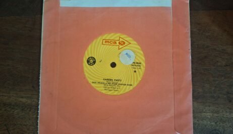 Rick Nelson & The Stone Canyon Band - Garden Party (VG/Gen) (7")
