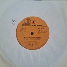 The Beach Boys - Marcella (G+/Gen) (7")