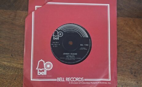 The Piglets - Johnny Reggae (VG+/Gen) (7")
