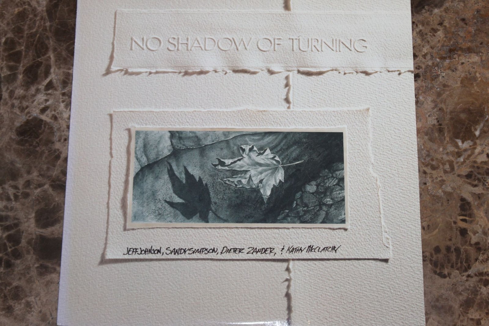 Jeff Johnson, Sandy Simpson, Dieter Zander & Kathy McClatchy - No Shadow Of Turning (VG+)