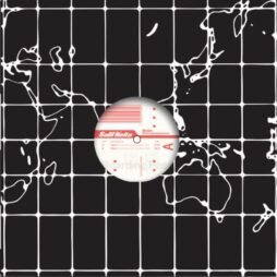 Salif Keita - Madan (Martin Solveig Remixes)