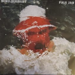 Pale Jay - Bewilderment