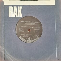 Andrea True Connection - What's Your Name, What's Your Number (VG/Gen) (7")