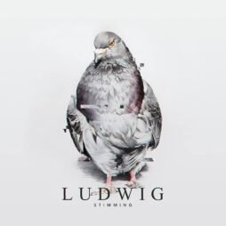 Stimming - Ludwig (2LP)