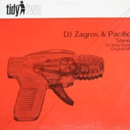 DJ Zagros & Pacific - Shine (VG)