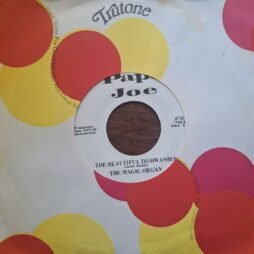 The Magic Organ - The Beautiful Dishwasher (G+/Gen) (7")