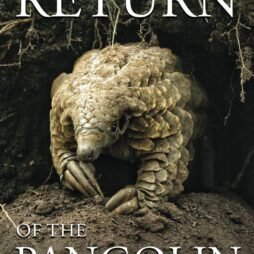 Simon Naylor - Return Of The Pangolin (Book)