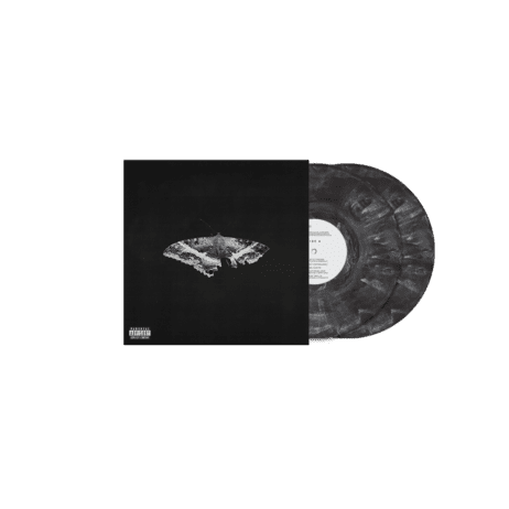 Kendrick Lamar - To Pimp A Butterfly (10 Year Anniversary Edition) (Alternative Cover, Grey Marbled Vinyl, 2LP) - Image 2