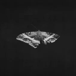 Kendrick Lamar - To Pimp A Butterfly (10 Year Anniversary Edition) (Alternative Cover, Grey Marbled Vinyl, 2LP)