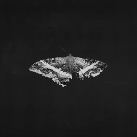 Kendrick Lamar - To Pimp A Butterfly (10 Year Anniversary Edition) (Alternative Cover, Grey Marbled Vinyl, 2LP)