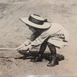 Phoebe Snow - Never Letting Go (VG+)