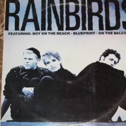 Rainbirds - Rainbirds (VG+/VG)