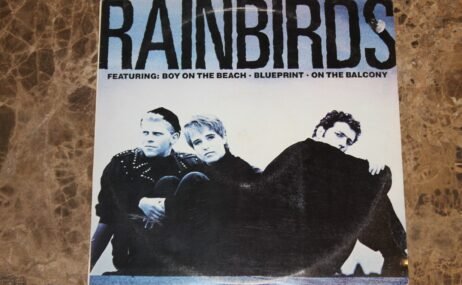 Rainbirds - Rainbirds (VG+/VG)