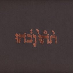 Godspeed You Black Emperor! - Slow Riot For New Zero Kanada E.P.