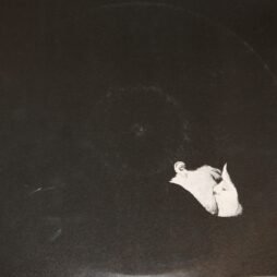 Bob Moses - Days Gone By (VG/VG+) (2LP)
