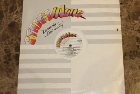 Alton Edwards - Everybody's Watching (VG/Gen) (12")