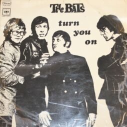 Bats - The Bats Turn You On (G)