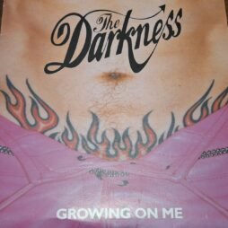 The Darkness - Growing On Me (VG+) (7")