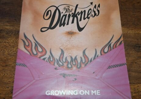 The Darkness - Growing On Me (VG+) (7")