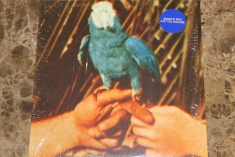 Andrew Bird - Are You Serious (VG+)