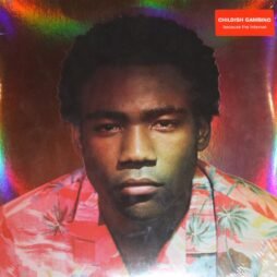 Childish Gambino - Because The Internet (Sealed) (2LP)
