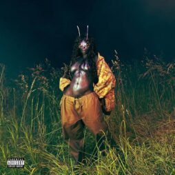 SZA - SOS Deluxe: Lana (4LP) (Deluxe Edition)