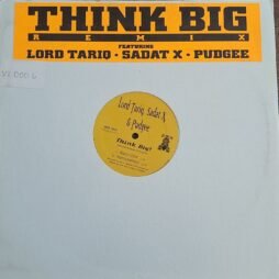 Lord Tariq, Sadat X & Pudgee - Think Big (Remix) (VG+/Gen) (12")