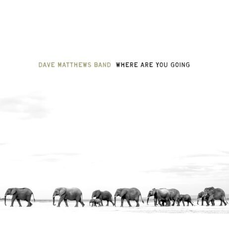 Dave Matthews Band - Where Are You Going: The Singles (2LP)