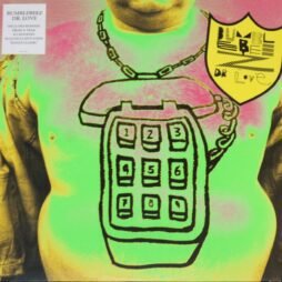 The Bumblebeez - Dr Love (12") (VG+/VG)